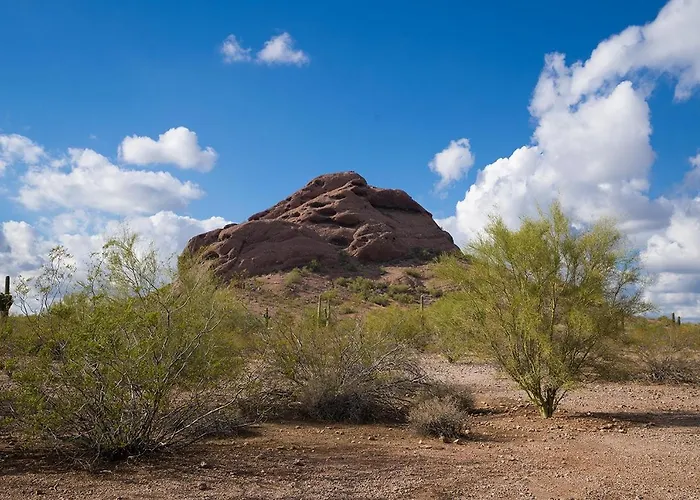 248 Fully Furnished 1br Suite-pet Friendly Apartment Scottsdale